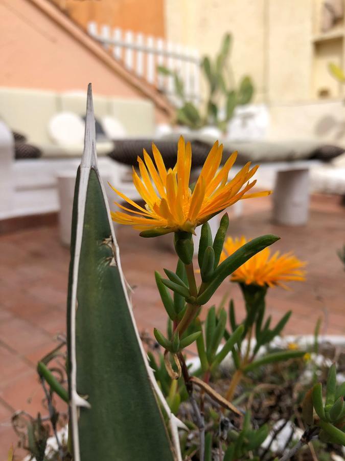 Bastianelli Home Roma Exterior foto